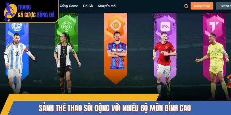 Sảnh thể thao sôi động với nhiều bộ môn đỉnh cao